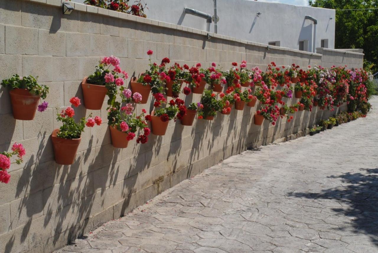 Pueblos Blancos Вьер де ла Фронтера Экстерьер фото